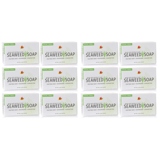 Reviva Seaweed Soap - 12 Pack - Organic Seaweed Face Scrub and Exfoliating Body Scrub Soap Bar - 4.5 oz. Vegetable Base Natural Bar Soap and Seaweed Bath Detox Soap Made in the USA