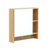 Benicabaly Optimize Space with Wall-Mounted Bathroom Mirror Cabinet, 2-in-1 Storage