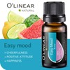 O'linear Essential Oils 6 Blends Set - Perfect for Humidifiers