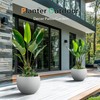 Heyzier Ball Concrete Ball Planter Outdoor Indoor, Large Cement Plant
