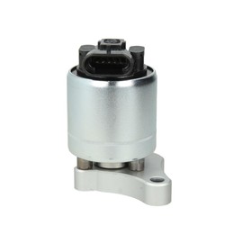 Delphi EG10003-12B1 Egr Valve