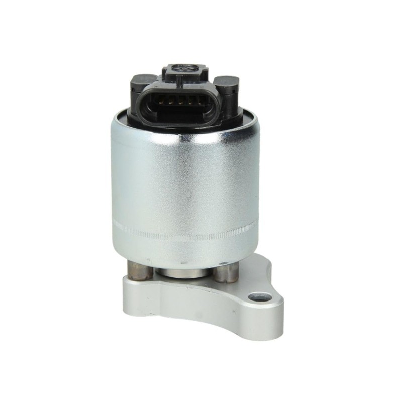 Delphi EG10003-12B1 Egr Valve