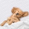 Utopia Bedding Waterproof Mattress Protector (90 x 200 x 30