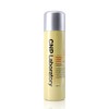 C&amp;Park Propolis Ampoule Mist 100ml_B / 차앤박 프로폴리스 앰플 미스트 100ml_B