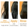 Elizavecca [Elizavecca]Milky Piggy Collagen Ceramide Coating Protein Treatment 100ml