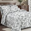 EVENHUG 100% Cotton Quilt Twin Size Black Bird Bedding Set