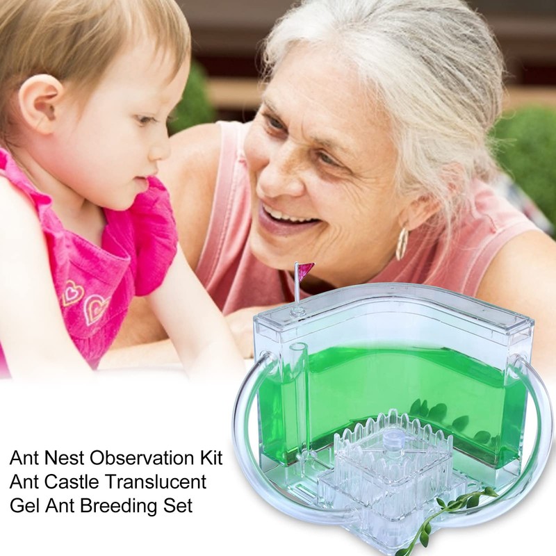 Sand Ant Farm - Habitat Educational & Learning Science Kit