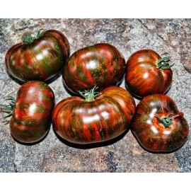 Sunshine Seeds Chocolate Striped Tomato Seeds (30) / ORGANIC / FLORIDA GROWN / RARE