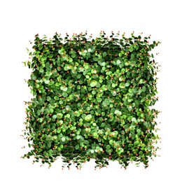 FLORALEAF 9 PCS 20''x20'' Artificial 20" x 20" Pentagon with red Point Topiary Hedge Plant Privacy Screen Faux Ivy Wall Décor for Indoor Outdoor Wall Garden Fence Backyard