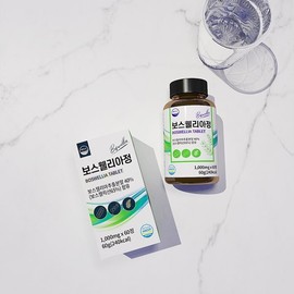 Welliz 웰리즈 보스웰리아정 1000mg x 60정 3개 6개월분 Welliz Boswellia Tablets 1000mg x 60 Tablets 3 Packs 6 Months Supply