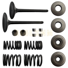 JINFANNIBI Cylinder Head Intake & Exhaust Valve Seals Kit for Yamaha Warrior 350 YFM350X