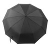 Folding Umbrella 10 Bone UV Protection Auto Open Auto Close
