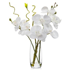 DILATATA Faux Flowers in Vase 14.6" Phalaenopsis Orchid Flowers Arrangement with Faux Water Real Touch Flowers for Wedding Table Centerpiece Home Decor, White