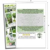Hardy & Nutritious Greens Variety 8-Pack Home Garden Starter Kit