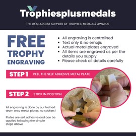 TROPHIESPLUSMEDALS Trophies Plus Medals Pinnacle Goalkeeper Glove Trophy 22cm (8 3/4") FREE ENGRAVING