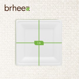 brheez 10 Inch Heavy Duty Square Disposable Plates | 100% Natural Sugarcane Bagasse Fiber | Biodegradable & Compostable Plate | Pack of 440