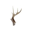 Real Whitetail Deer Antler Beer Tap Handle for Kegerators Keezers