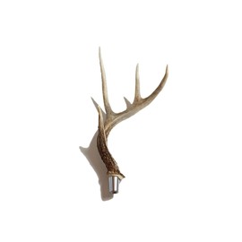 Real Whitetail Deer Antler Beer Tap Handle for Kegerators Keezers Keg Bar Man Cave