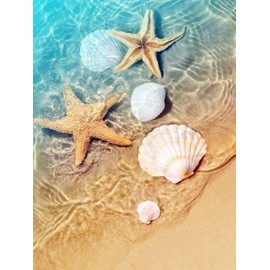 DIY 5D Diamond Painting Kit Seashell Sea Star Summer Beach Diamond Embroidery Adult Full Diamond Rhinestone Cross Stitch Crafts Home Decoration Gift 12X16 Inch