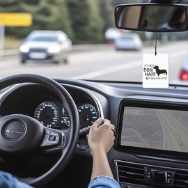 Mancheng-zi Funny Dog Car Air Freshener 3Pcs, Newfie Bernese Mountain Dachshund Lover Mom Gifts Air Freshener Hanging for Cars Closet Drawer or Books, Cute Dog Car Accessories Mirror Decor for Women