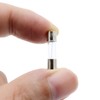 SIXQJZML 10 Pack F2AL Fast-Blow Fuse 2A 250V Glass Fuses