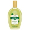Floressance Avocado Plant Oil 50 ml