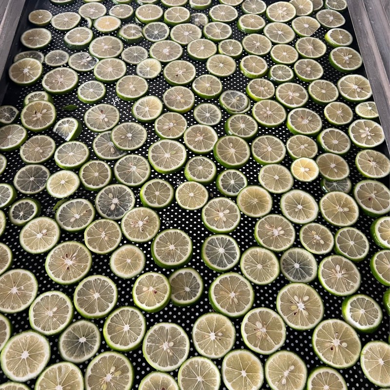 Dehydrated Dried Lime Slices | Lime Wheels | 50 +