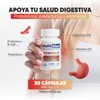 Probiotic Fit 30 Capsules | Advanced Probiotic and Prebiotic Formula