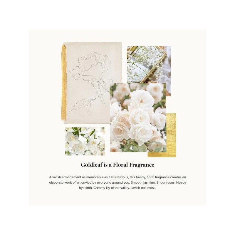 Times 타임스 버블 배스 - 11.5온스 골드 [Goldleaf Gardenia] Times