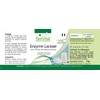Fairvital | Lactase Tablets - Vegetarian - 4500 FCC per