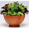 FUN AND GROW SEEDS: Seeds Indoor Lettuce Mix Balcony Non