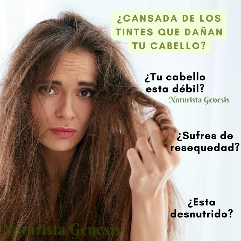 El oasis Tinte Natural Henna En Polvo El Oasis 250g