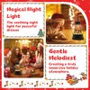 Christmas Snow Globes, Light Up Snow Globe with 6H Music