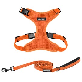 Voyager Step-in Lock Dog Harness w Reflective Dog Leash Combo Set with Neoprene Handle 5ft - Supports Small, Medium and Large Breed Puppies/Cats by Best Pet Supplies - Orange, S