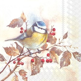 Boston International Ideal Home Range Papierservietten, 3-lagig, 20 Stück 6.5 x 6.5" Folded Sweet Little Bird
