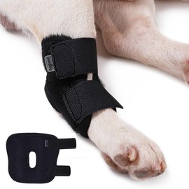 BT Bear Dog Brace Front Rear Short Leg Wrap Sleeve Protects Wounds Pet Brace Heals and Prevent Injuries and Sprain Helps,Large