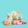 BARK Puppy Side Up Egg Dog Toy With Squeaker For
