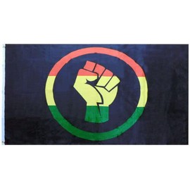 Black Lives Matter BLM Rasta Fist 100D Woven Poly Nylon 2x3 2'x3' Flag Banner