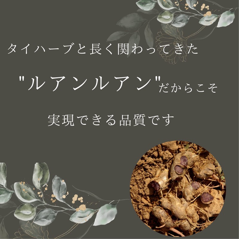 Ruam Ruam(ルアンルアン) ロイヤルブラックジンジャー EX150 60粒 (1カ月分) 貴重な黒しょうがで運動をサポート ポリメトキシフラボン配合 クラチャイダムサプリ