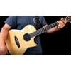 Ortega Guitars ELIMINATOR100 Feedback Eliminator