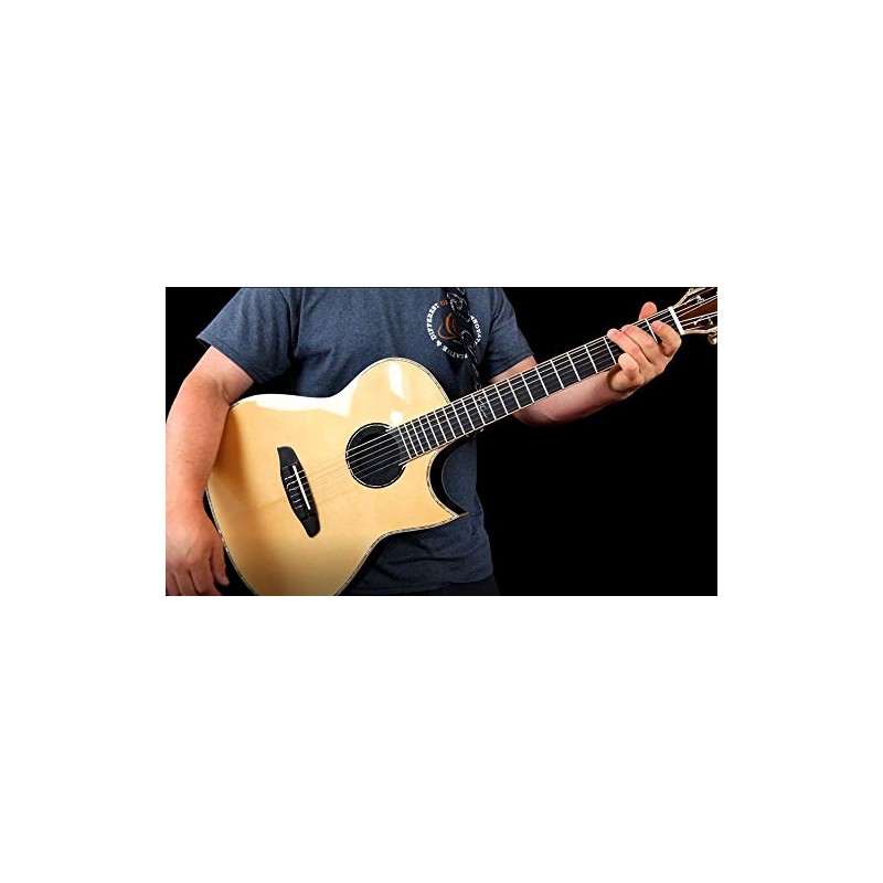 Ortega Guitars ELIMINATOR100 Feedback Eliminator