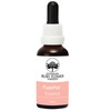 Australian Bush Flower Essences FussPot Essence 30ml
