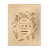 Mizutama Farm Three-Year Sencha Tea Bags 5g×32 Pack △ [Non-Caffeinated]