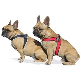 Tre Ponti Fibbia Small Dog Harness, 2.5 cm, Black