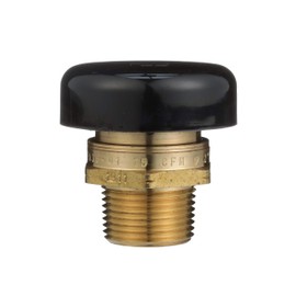 Watts LFN36-M1 Water Service Low Profile Vacuum Relief Valve for Water and Heater Tanks, 3/4 inch