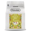 PRAANA TEA Ginger and Apple Fruit Tea, 100 g, 511-100