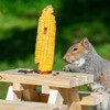 Himsel Farms Wildlife Treats Ear Corn Kernels Hand Packed Boxes