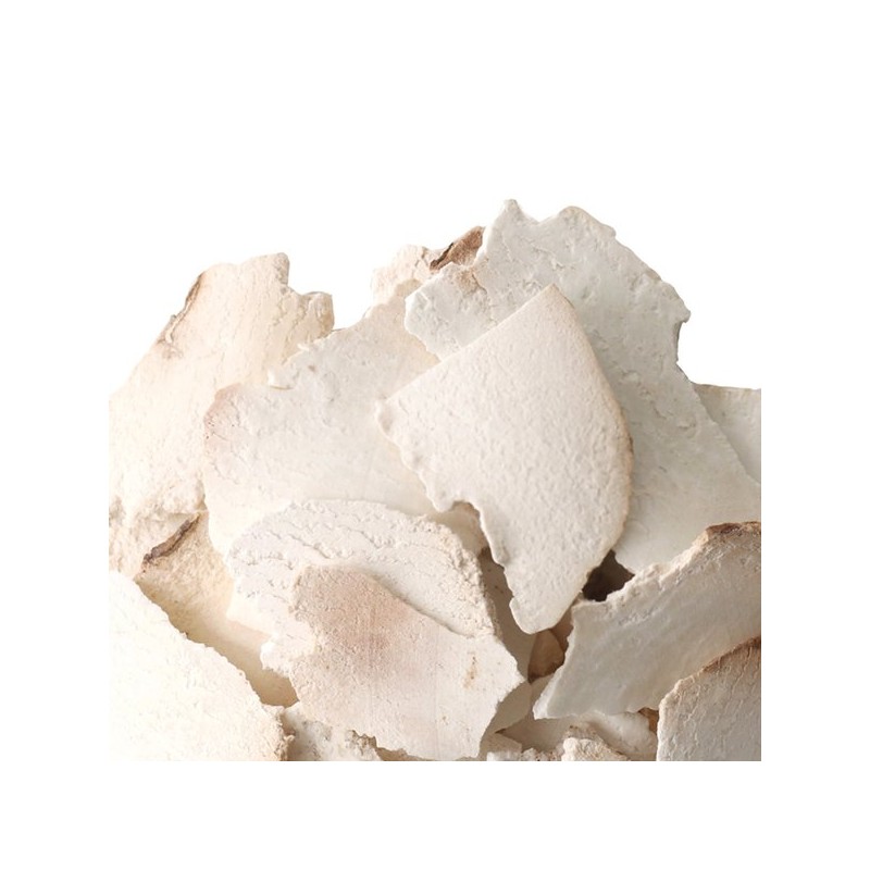 Donguihanjae 동의한재 중국산 햇 백복령 600g Dongi Hanjai Chinese Fresh