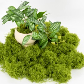 Fake Green Moss - MAQIHAN Artificial Moss for Plants Indoor Faux Grass for Planters Fake Grass Decor for DIY Decorating Craft Art Potted Wedding Accessories Fairy Garden Accessories (3.53 OZ)