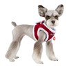 Puppia Blitzen Vest Dog Harness Step-in Warm Winter Christmas Holiday